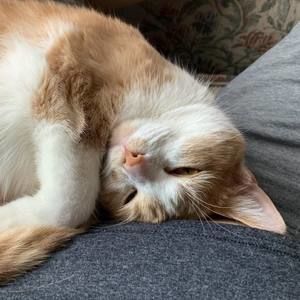 Meet your Posher, Angie